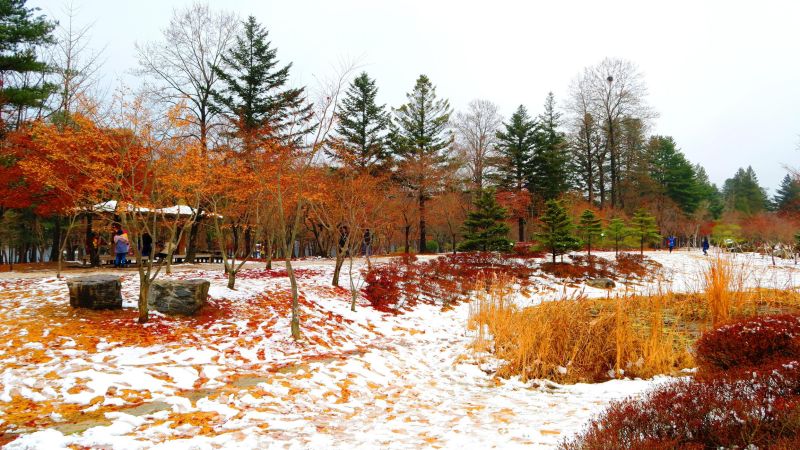 1yABDmCt CAC2oa4Q0WVmydA4tihpkr06_w_iM1oXYJvf2r5TdR2ZnyhRwS 2RxJvAbv20zZazhTQsVLzDxl2oky0GKuvYddQNyW86hwbSJDvzL3H57lzdmNOg3r34KH0kBzVzxL 7pWxudAKvcOf5K1VpfyE5DBk96nx5d5x36dqLg997dNMDzRLPEtkbGZ