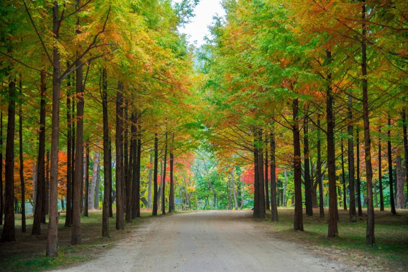 🌿 Excursión a Isla Nami 3 