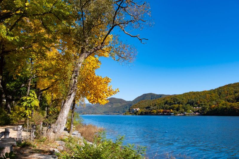 🌿 Excursión a Isla Nami 2 