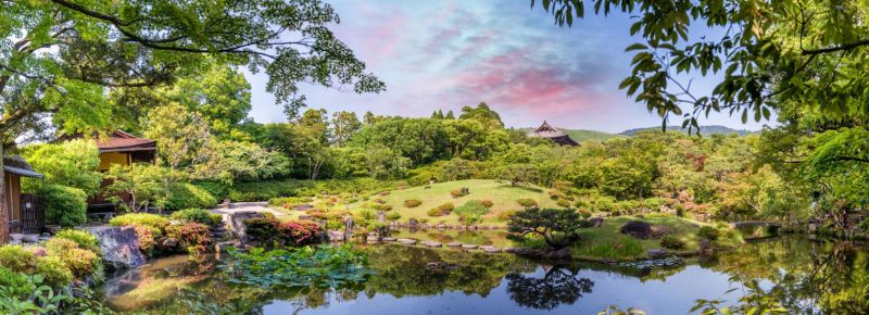 🦌 Nara y sus ciervos sagrados 2 