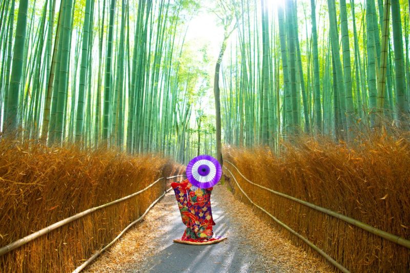 Arashiyama Bamboo Forest_5