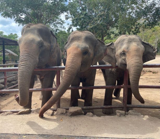 BsWFj5qye7l_KyrDnqMbODvIjQZRrZVWOIMfC17aR7U5b2sdzZRHxCiLaWeN5FJDRc318Ys0nalbROtZhb1f9ADoe0yZBzxAxu1IIrvOdS3nP5DUnliA7FkzJxFaq8VtM4mLQ5jFNFLGmf8paNXMLnjKKbdQmfJM6gzXo L18qSvQzY4FAv8qyIDq5Mjv89y