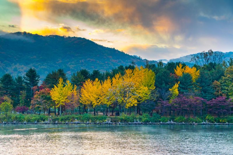 🌿 Excursión a Isla Nami 0 