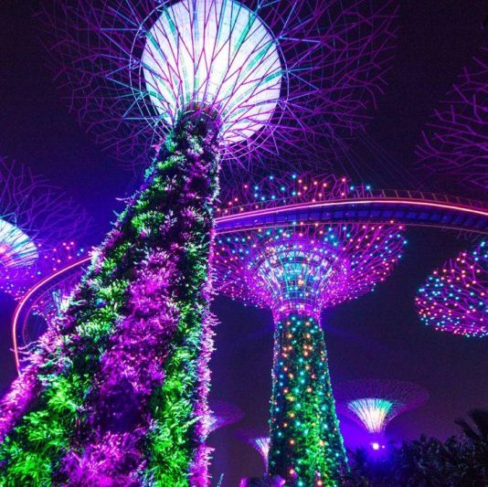 Explorando Singapur 1 