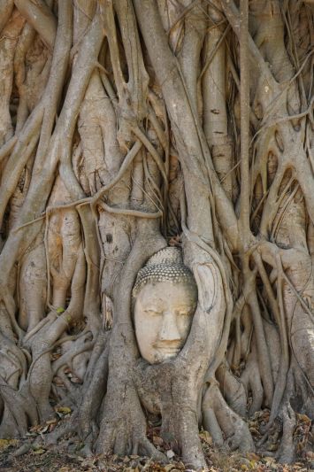 Ayutthaya y cena crucero 2 