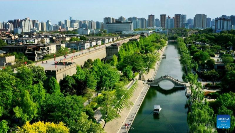 Guerreros de Terracota: un descubrimiento impresionante 1 