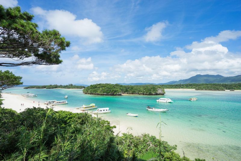 AzUPxAX0NAI9CEwOoJzNSkHeyVlGKNg8Iybbtir Ldf75kiU5gVWCEWvDJCgX5VsQxqeT0BYVqjQwGHqVroILDj1AsCOgDs8HMXDP1r7oUtfP2FMSGe7awnc2wq8zmEojdzC SO8tzIhTtGYMsSROGuD9eNoV7mfcx79jSv3ARLnf6yUSSgBo0LBA90IzuxI