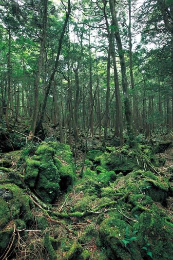 JRGtHv8YZgFlyFuSMEXFRU3UDeF_iRsGxZDf3BhBB4JGfPokhbIx0G6gMFFh6uRxIi2RrmGuuDZL3A7Cr1KMKkuASmCayW 8Oe0vRw_qO6n3GAALsyNvVBHjzpJqCXugeji7dGj7oW9h41DseuwBpY2 AikPZldQ7uRXsMk_7alYSRzzvUIDfK5 4tb9STL2