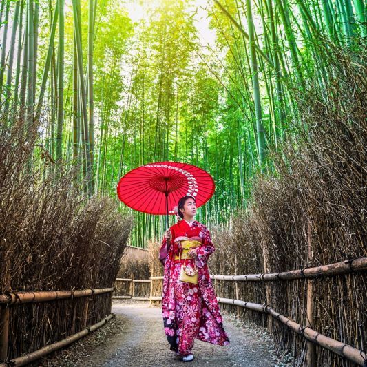 Lady With An Umbrella Walks Through The Bamboo Grove