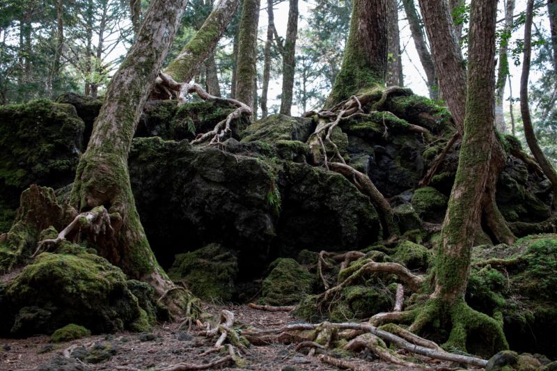 TUlcKOJDr60vBLn2RrLHJB2aWBF1iDKbTlqoDSQSNXN56b 3eu1qKscYbN8ApvpoUL1LOIAiNj84kXBYmLPFFrehRmDtPjerrw5eUXdmsNouIqwT9Xhy6BlAXCKYu4IKbI6A1XBMiFc2OZEI_06_50hhb_S66clbw4rGbTJv1Tx19JMm3VAONuwRkYL Cyk6