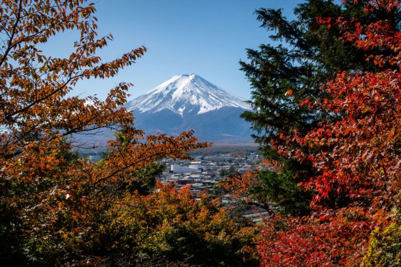 Dcn0bQR9 Uu7RQ8d2WwNEWapaoF4qv TEPLTQRkRRHTZh4doJtlM9zGPLWCP6tg7VYkBx85IeqNmOcfkJ6401cOJsTuVD5a3E Hd4uP2Yi4dvcZsZ1md_tEg9bW7b81fke_QXmpfZ_tZsyHwOfWcd7a3aIczOxRXNOzGWZqGxBVBKTCFgQcv DUEu4ST6K0l