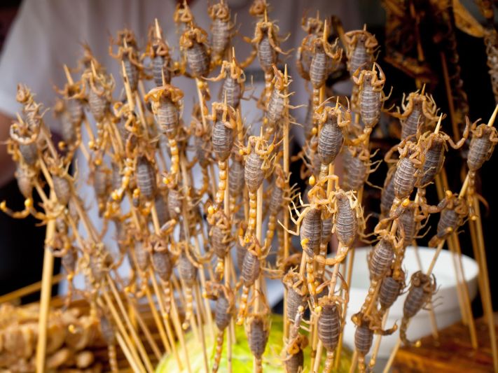 KImpC5qJ1Z IZlXSQdQaXgdpizhHa05L94tc0rjMciVBqOrd4J NEKZsPzXIvWqQ6Z0uH6vo83We1m7UULWj7H Jjo_CylaclgZJhR34Skch28AHT8orolF1S9CL6bBg2jF2CXuIY6L4IPeTufyQozrWqSo1rIJwj00rX25HRuKX8LA C_T0wnLtqPtg0_v9