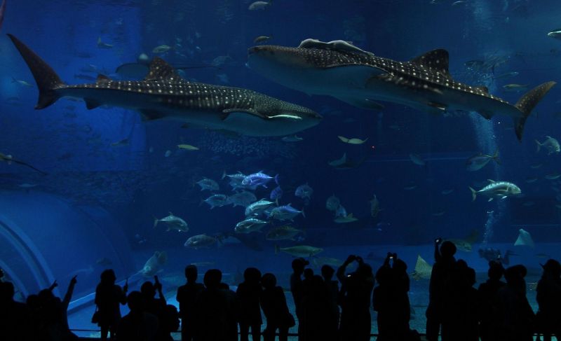 OjotolzVi HvzbLZelViuVOSAQNuLz9xoaKD3 NPKmgsWqFR2MiF_8t5UCIBsT0AOiG4L9RJU0SwuHLDfnRlI1J7xN2LgOGUD3GfD5pF7S7jipVgR9SvAaenfsxF6rYl1RQeVUCzyoOPSnak0KjMiXrFdlRSXuD9S5JhNz5rpFgvE1nmIAJxe8PolMYvMdpE