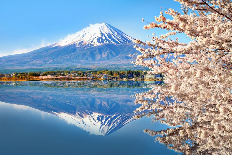 XuoiwxP6ZTLogIOmAer5WbZuZrkd 91Qz3k5I1__Fq WVc3MZYrXbq64KNpM7U6whngR8a1o7mKjNB7XxneLMAZjWVWhgzoXr0CsO7e9GmvGxsv7E3CiwNT0ze4vUlmT_6vJ VaV6PSVaMdN LMv CMoy4spueSG60uZJGDKkgT1URQppCTTR5vttMliZCG1